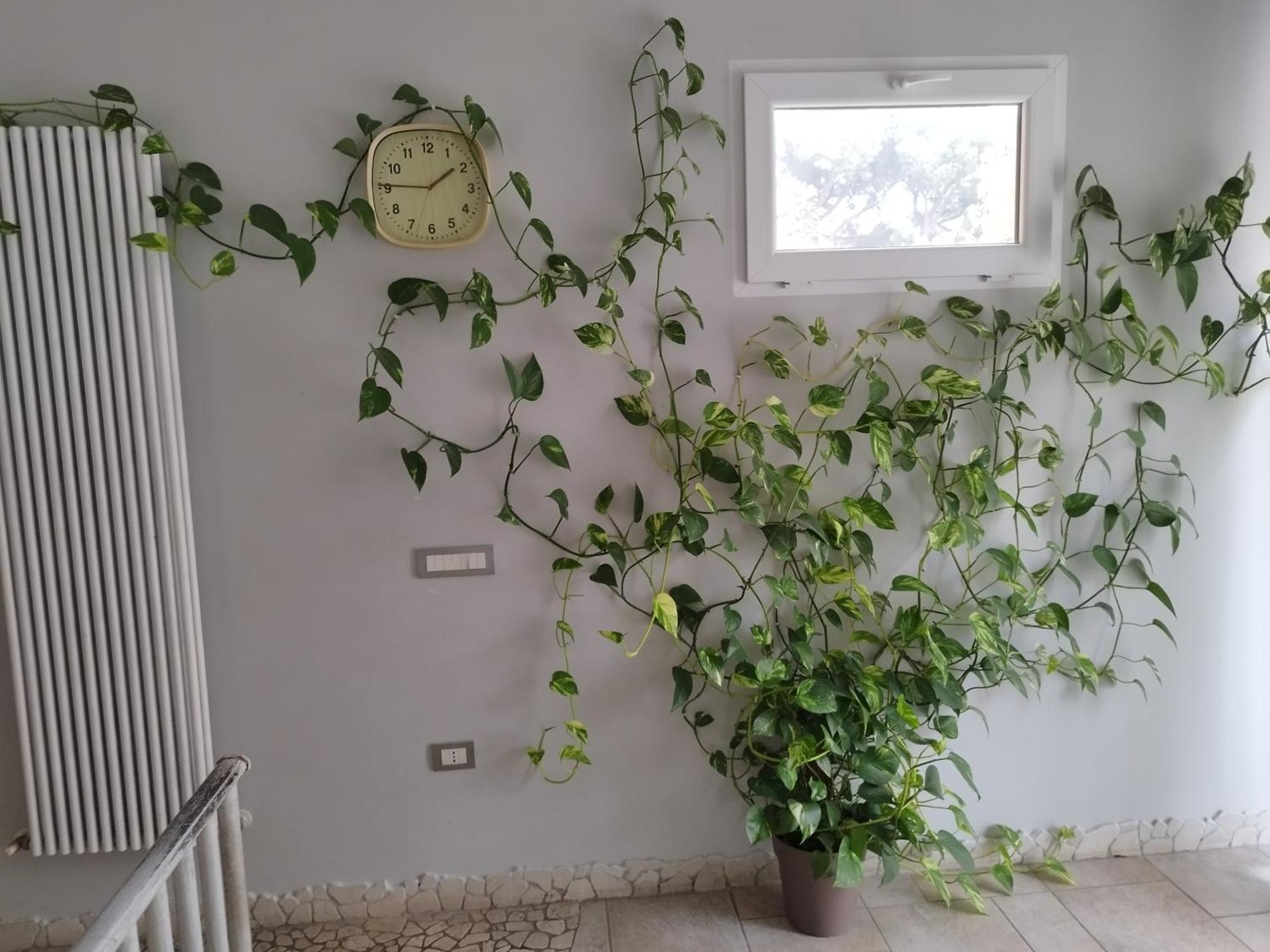 Fronte Mare Con Parcheggio Privato Apartment *